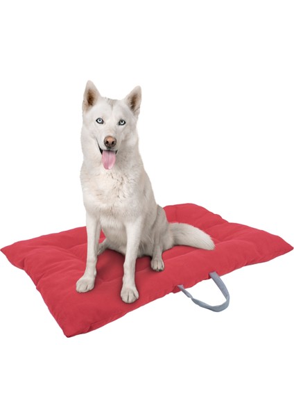 Köpek Yatağı Evcil Hayvan Kedi ve Köpek Minderi Evcil Hayvan Dikdörtgen 90X70 cm Yumuşak Minder