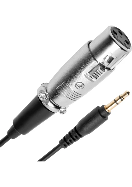 BK Teknoloji 3pin Xlr Dişi - 3.5mm Erkek 30 cm Mikrofon Kablosu