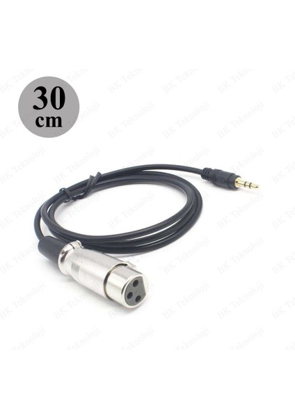 3pin Xlr Dişi - 3.5mm Erkek 30 cm Mikrofon Kablosu