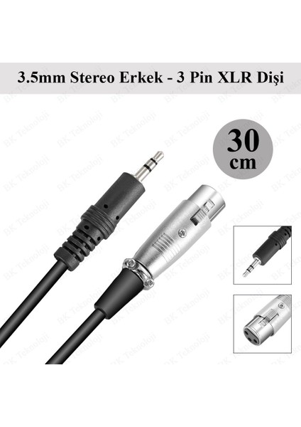 3pin Xlr Dişi - 3.5mm Erkek 30 cm Mikrofon Kablosu