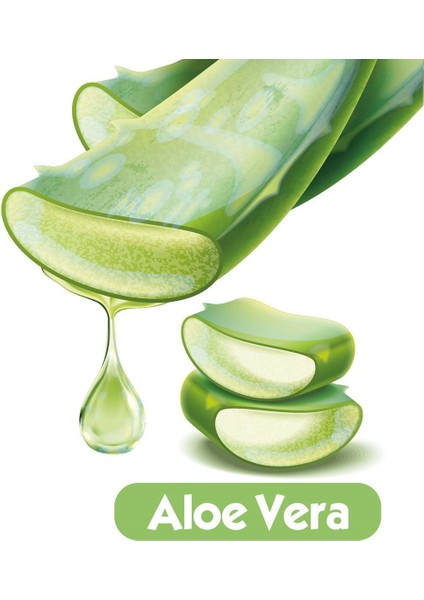 Baby Turco Softcare Aloe Vera Islak Bebek Havlusu 24 ADET (24 x 90 = 2160 Yaprak)