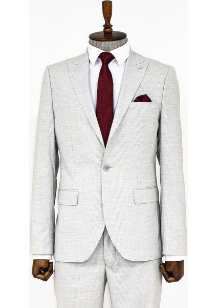 Gri Çizgili Iki Parça Takım Elbise