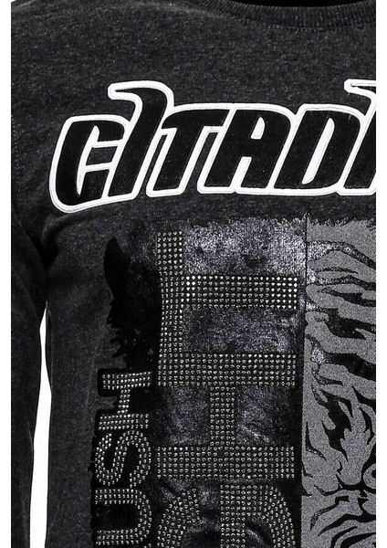 Gri Taşlı Baskılı Kapşonşlu Sweatshirt fiyatları