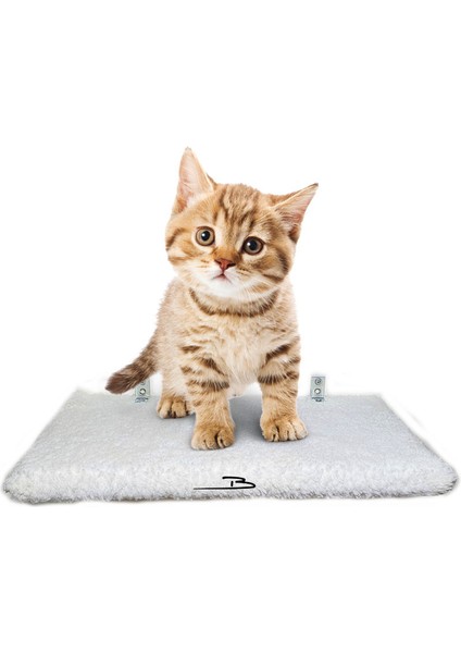 Peluş Kedi Basamağı Peluş Raf Duvar Kedi Yolu Parkur 3'lü Set 2 Renk(30-40-50 cm)