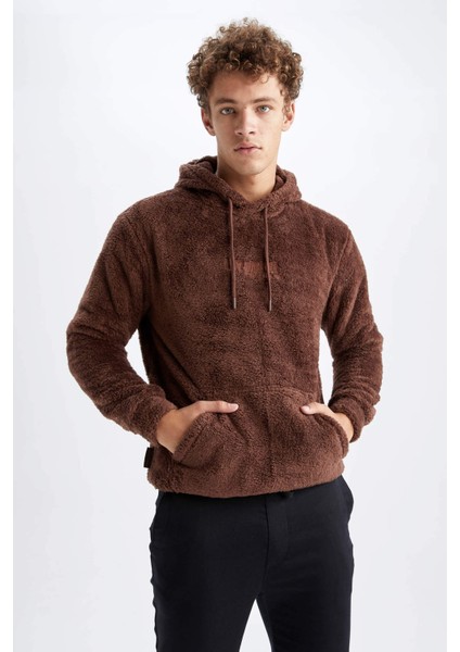 Regular Fit Kapüşonlu Baskılı Pelüş Sweatshirt Y5556AZ22WN