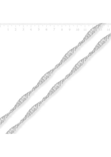 Gümüş Singapur Zincir fiyatları