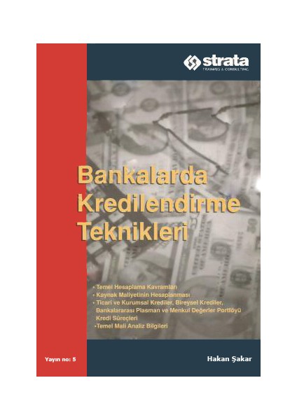 Bankalarda Kredilendirme Teknikleri