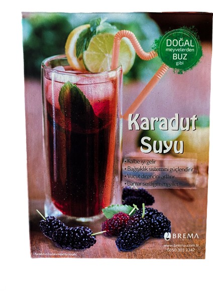 Fresh Karadut Suyu 650 Ml.