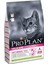 Cat Delicate Kuzu Etli 10 kg 1