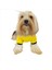 Yellow Lux Kapşonlu Sweatshirt Köpek Kıyafeti Köpek Elbisesi 2