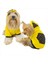Yellow Lux Kapşonlu Sweatshirt Köpek Kıyafeti Köpek Elbisesi 4