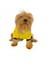 Yellow Lux Kapşonlu Sweatshirt Köpek Kıyafeti Köpek Elbisesi 5