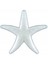 Deniz Yıldızı Minik Sedef PK:100 KL:100 1