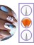 15'Li Profesyonel Nail Art Süsleme Fırçası 5