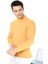 Erkek Sarı Yarım Balıkçı Yaka Slim Fit Kazak 1