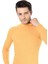 Erkek Sarı Yarım Balıkçı Yaka Slim Fit Kazak 3