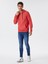 Regular Fit Erkek Sweatshirt 2