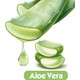 Baby Turco Softcare Aloe Vera Islak Bebek Havlusu 12 x 90 Yaprak