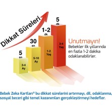 Zeka Yayınevi Bebek Kavram Kartları - (16-48 Ay) Sağ Beyin Zeka Kartları