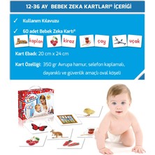 Zeka Yayınevi  Bebek Zeka Kartları - (12-36 Ay) Sağ Beyin Zeka Kartları