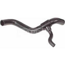 Rapro Radyatör Alt Hortumu Palio Albea 1.6 16V 02