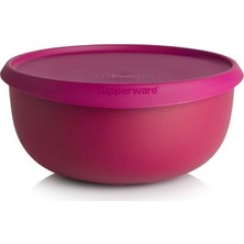 Hsgl Tupperware Yonca 4.3 Litre ( Saklama Kabı ) Bordo
