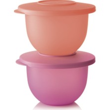 Hsgl Tupperware Eko Kap 2x 500 ml ( Saklama Kabı ) Lila-Turuncu
