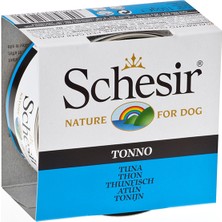 Schesir Jel Ton Balıklı Kedi Konservesi 85 g x 12 Adet