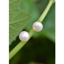 Stoneage Jewellery Beyaz İnci Doğal Taş Bayan Küpe