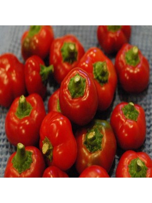İdeasepet Naturally Doğal  Red Cherry Acı Biber Tohumu (20 Tohum)
