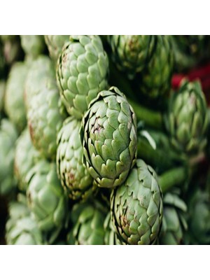 İdeasepet Şifa Deposu Globe Enginar Tohumu (15 Tohum)