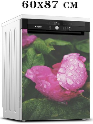 Renkselart Bulaşık Makinesi Sticker 004