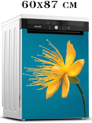 Renkselart Bulaşık Makinesi Sticker 007