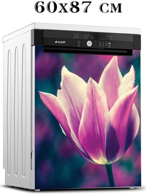 Renkselart Bulaşık Makinesi Sticker 042