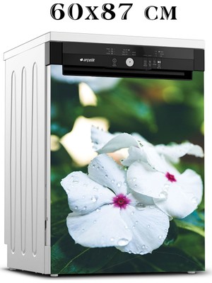 Renkselart Bulaşık Makinesi Sticker 097