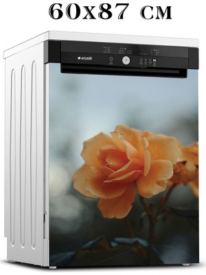 Renkselart Bulaşık Makinesi Sticker 113