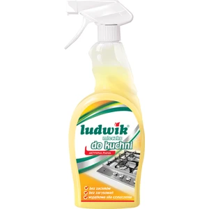 Paslanmaz Yüzey Ve Ankastre Temizleyici Sprey 750 ml