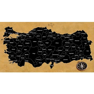 Mantar Türkiye Haritası Siyah - Pinlenebilir Harita