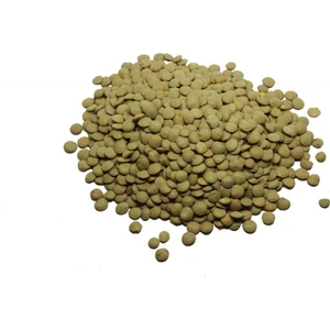 Yeşil Mercimek Köy  1 kg