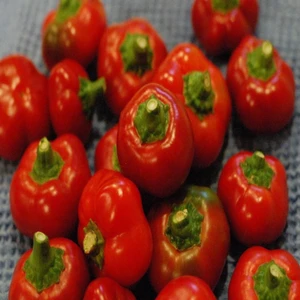 İdeasepet Naturally Doğal  Red Cherry Acı Biber Tohumu (20 Tohum)