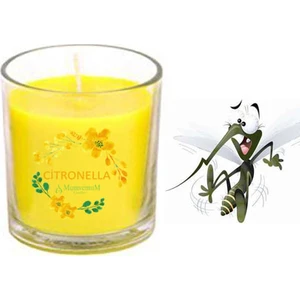 Citronella Sinek Kovan Bardak Mum