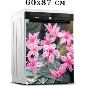 Bulaşık Makinesi Sticker 100