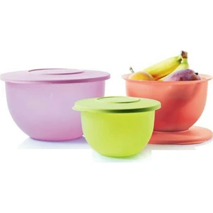 Hsgl Tupperware Eko Kap 3'lü Set ( Saklama Kabı ) Lila
