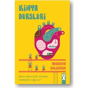 Kimya Dersleri - Meredith Goldstein