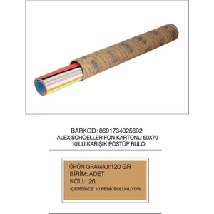 Alex Fon Kartonu 50X70 120 Gr Krş 10 Lu Rulo 003