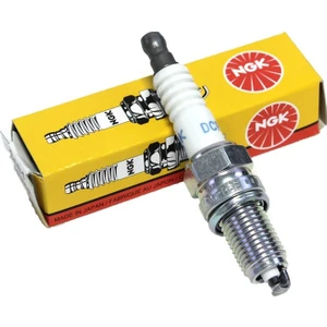 Universal DCPR6E  Buji
