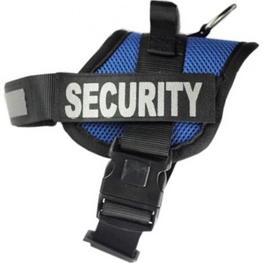 Pet Style K 9 Ozel Bel Tasmasi No 2 Mavi Fiyati Pet Style K 9 Ozel Bel Tasmasi No 2 Mavi Fiyati