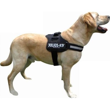 Pet Style K 9 Ozel Bel Tasmasi No 2 Turuncu Fiyati Pet Style K 9 Ozel Bel Tasmasi No 2 Turuncu Fiyati