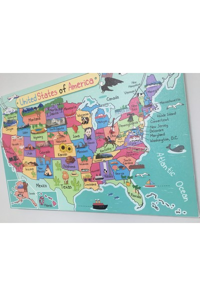 Mapofx Kanvas Amerika Haritası Illüstrasyon