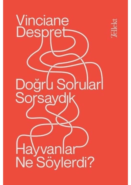 Doğru Soruları Sorsaydık, Hayvanlar Ne Söylerdi? - Vinciane Despret